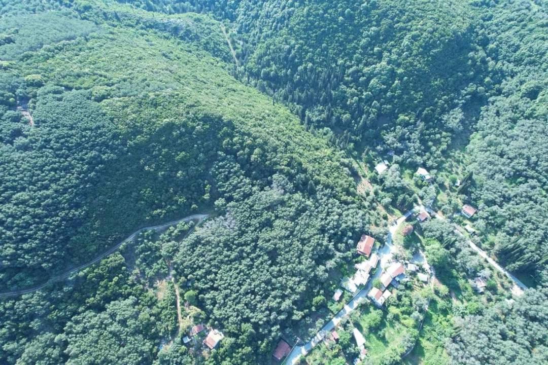 Pensjonat Harry'S Retreat Klimatia Zewnętrze zdjęcie