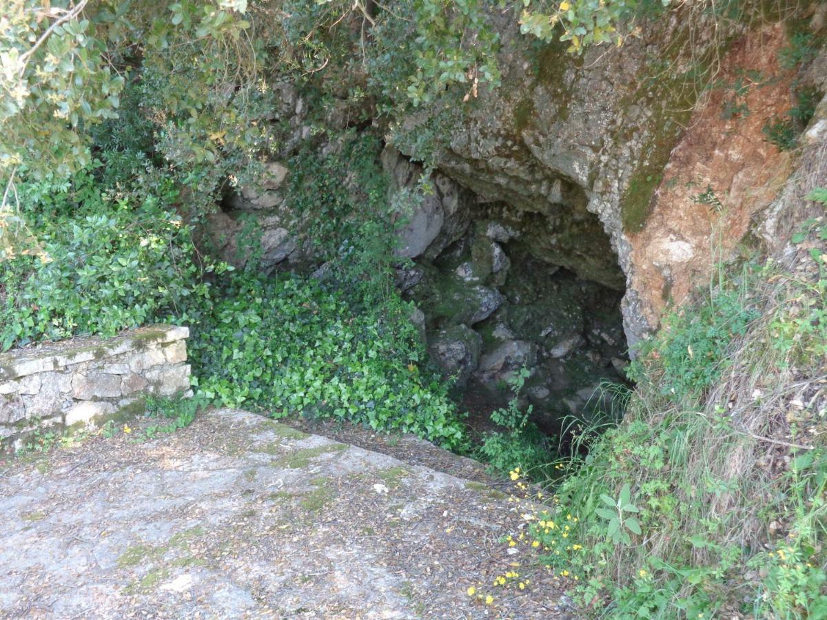 Pensjonat Harry'S Retreat Klimatia Zewnętrze zdjęcie